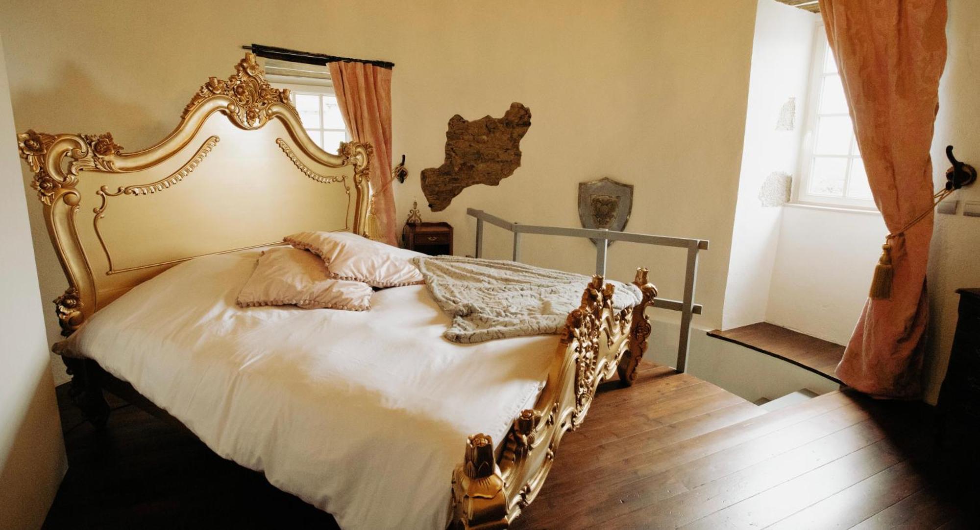 Chateau De La Preuille Bed & Breakfast Montaigu-Vendee Zewnętrze zdjęcie